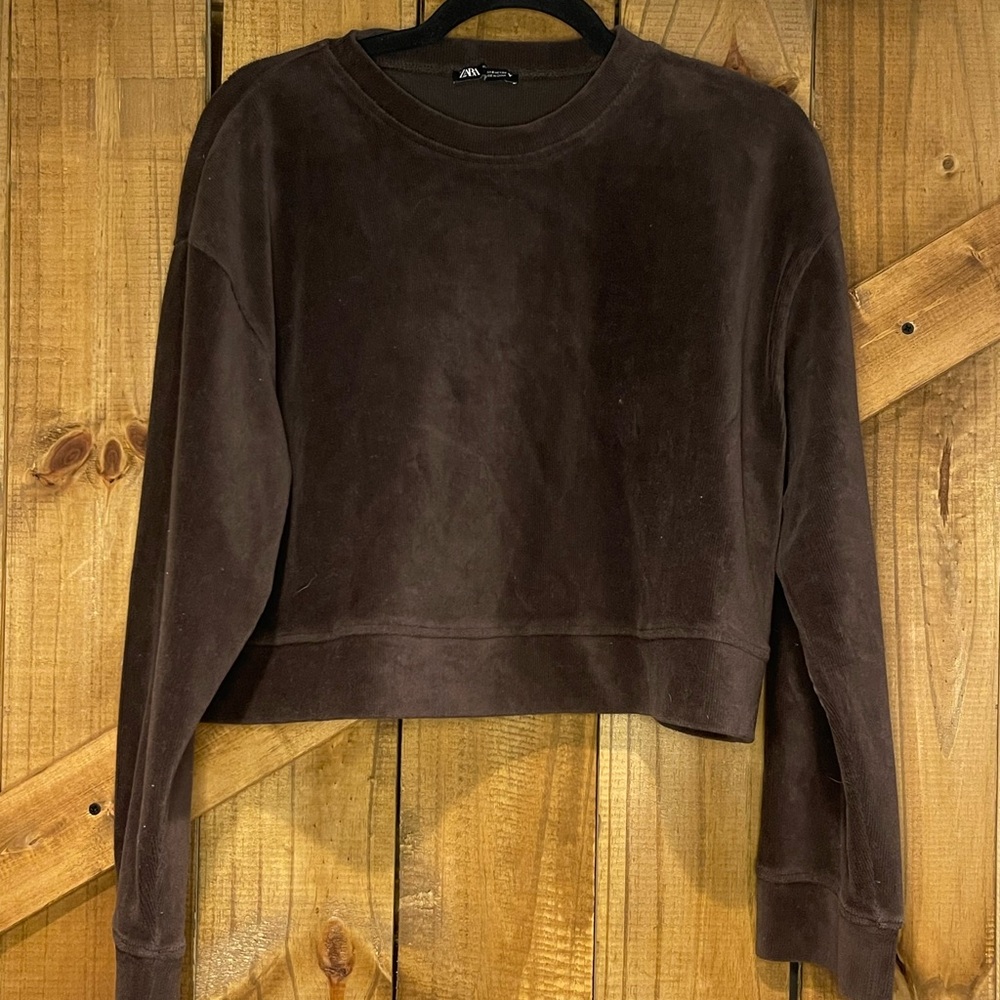 Zara Brown Cropped Sweat set